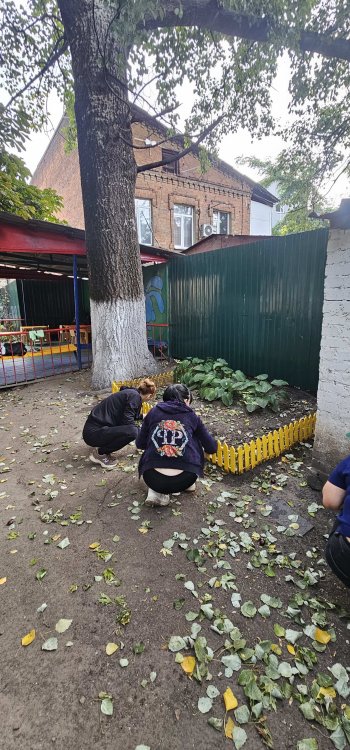 img 1